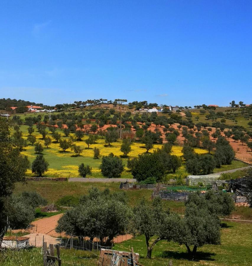 Refugio Do Bem Estar Hotel Cercal do Alentejo Bagian luar foto