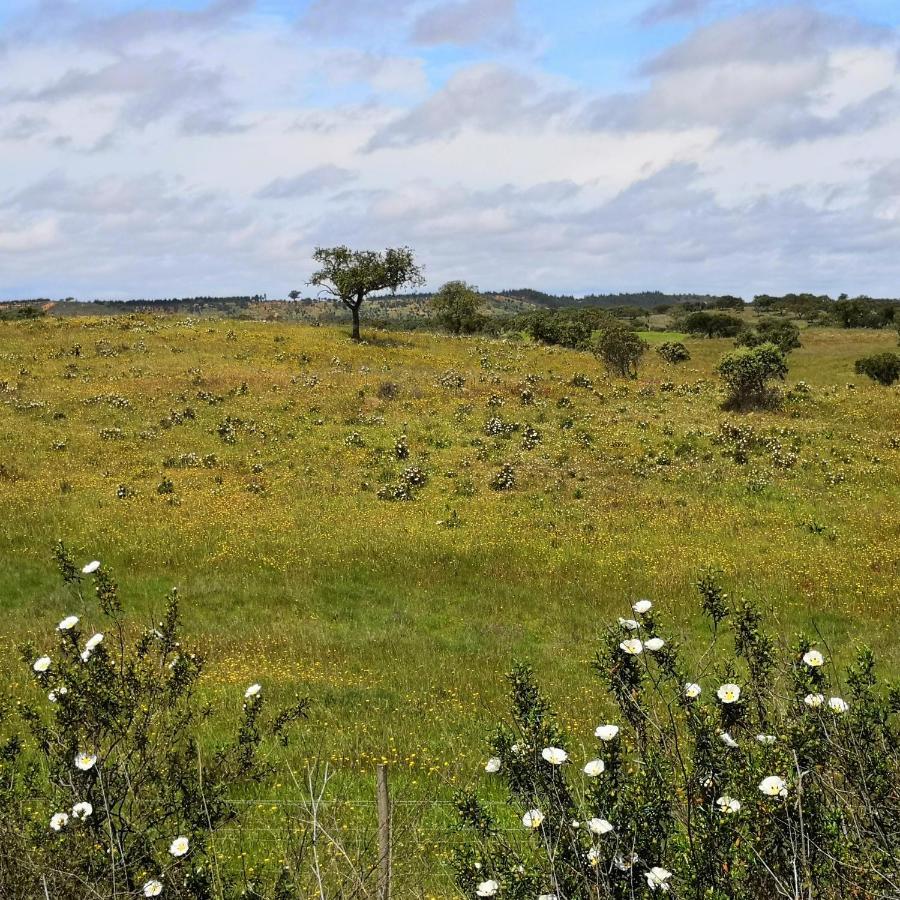 Refugio Do Bem Estar Hotel Cercal do Alentejo Bagian luar foto